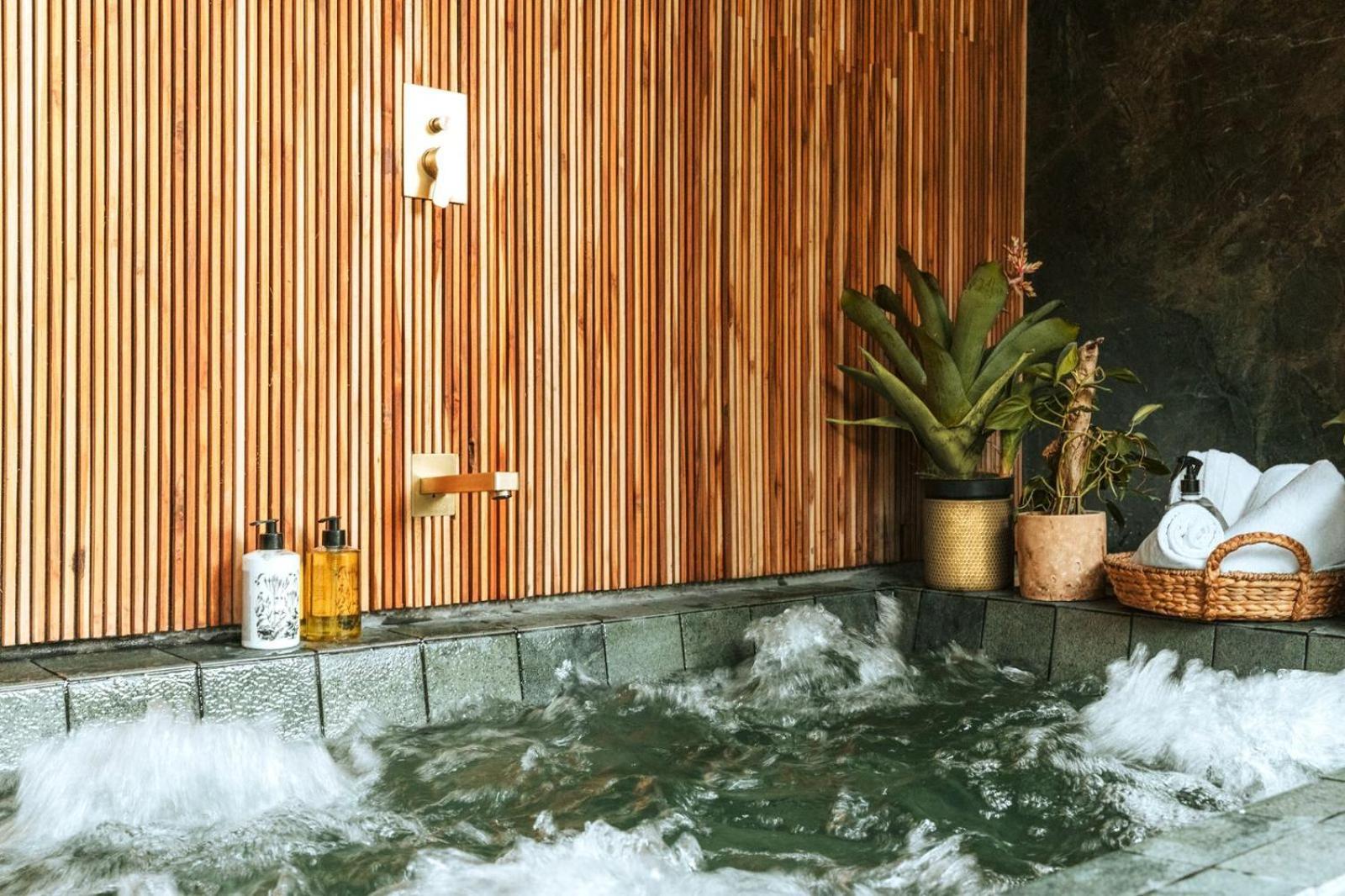 Selvario 36 Hotel Medellín Kültér fotó